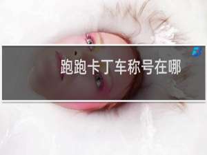 跑跑卡丁车称号在哪