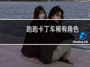 跑跑卡丁车稀有角色