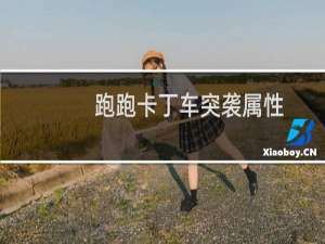 跑跑卡丁车突袭属性