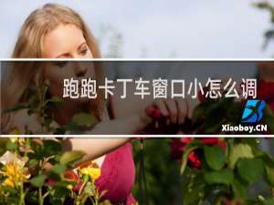 跑跑卡丁车窗口小怎么调