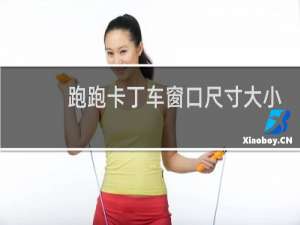 跑跑卡丁车窗口尺寸大小