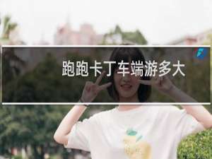 跑跑卡丁车端游多大