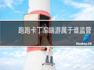 跑跑卡丁车端游属于谁监管