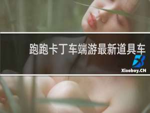 跑跑卡丁车端游最新道具车