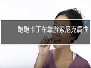 跑跑卡丁车端游索尼克属性