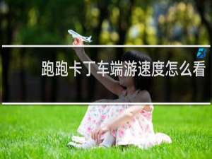 跑跑卡丁车端游速度怎么看