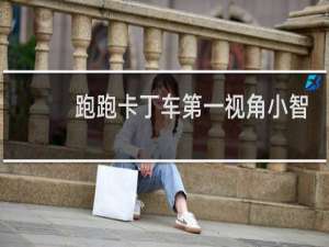 跑跑卡丁车第一视角小智