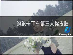 跑跑卡丁车第三人称皮肤