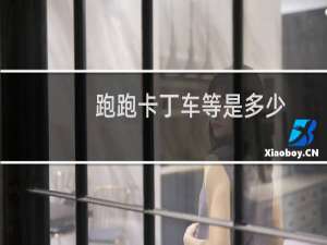 跑跑卡丁车等是多少