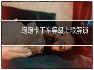跑跑卡丁车等级上限解锁