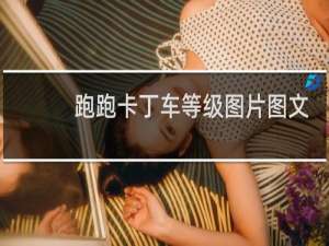 跑跑卡丁车等级图片图文