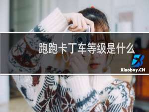 跑跑卡丁车等级是什么