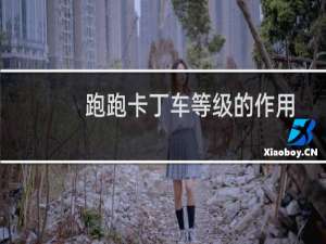 跑跑卡丁车等级的作用