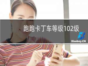 跑跑卡丁车等级102级