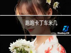 跑跑卡丁车米几