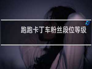 跑跑卡丁车粉丝段位等级