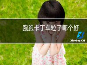 跑跑卡丁车粒子哪个好
