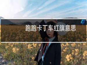 跑跑卡丁车红旗意思