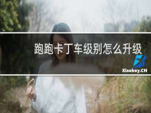 跑跑卡丁车级别怎么升级