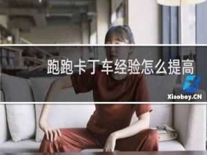 跑跑卡丁车经验怎么提高