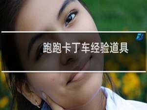 跑跑卡丁车经验道具
