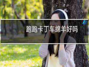 跑跑卡丁车绵羊好吗