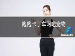 跑跑卡丁车网吧宠物