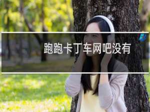 跑跑卡丁车网吧没有