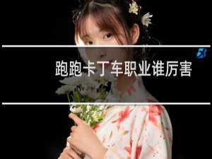 跑跑卡丁车职业谁厉害