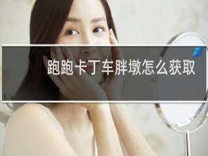 跑跑卡丁车胖墩怎么获取