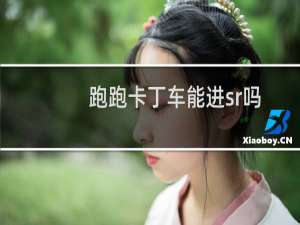 跑跑卡丁车能进sr吗