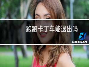 跑跑卡丁车能退出吗