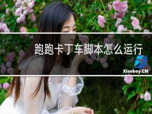 跑跑卡丁车脚本怎么运行