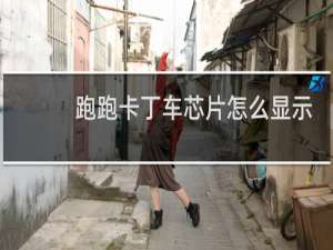 跑跑卡丁车芯片怎么显示