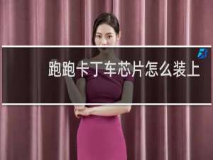 跑跑卡丁车芯片怎么装上