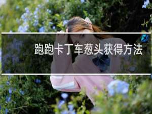 跑跑卡丁车葱头获得方法