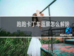 跑跑卡丁车蓝屏怎么解除