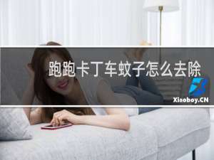 跑跑卡丁车蚊子怎么去除