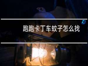 跑跑卡丁车蚊子怎么找