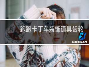 跑跑卡丁车装饰道具齿轮