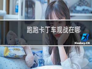 跑跑卡丁车观战在哪
