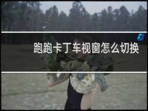 跑跑卡丁车视窗怎么切换