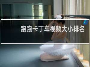 跑跑卡丁车视频大小排名