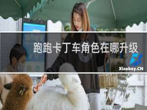 跑跑卡丁车角色在哪升级