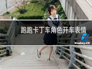 跑跑卡丁车角色开车表情