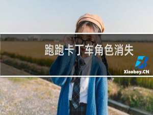 跑跑卡丁车角色消失