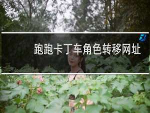 跑跑卡丁车角色转移网址