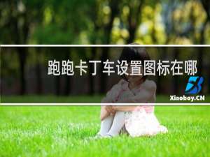 跑跑卡丁车设置图标在哪