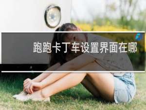 跑跑卡丁车设置界面在哪