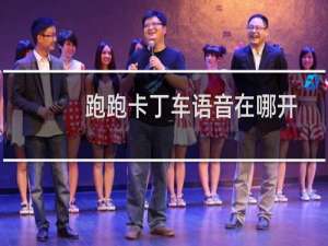 跑跑卡丁车语音在哪开